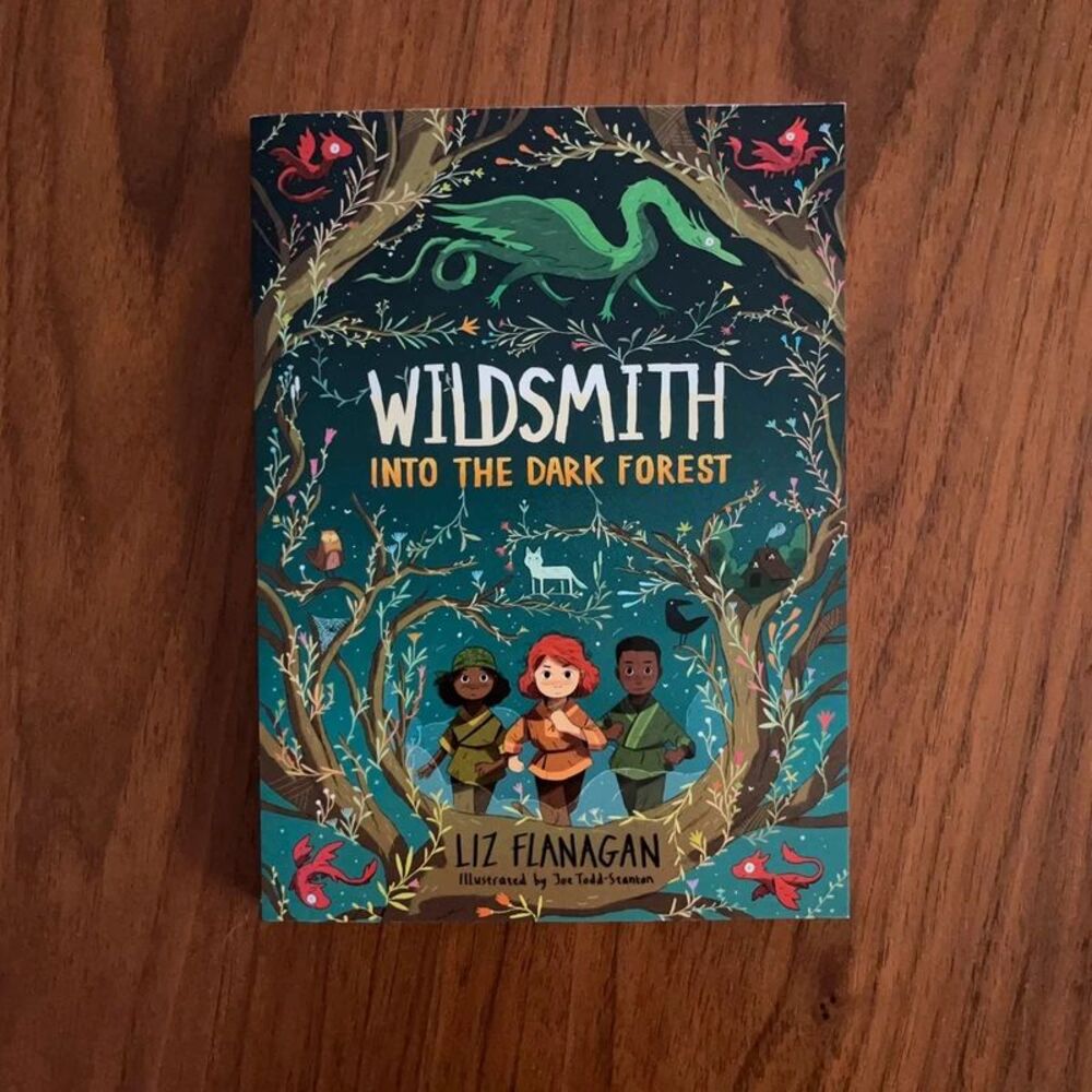 Wildsmith: Into the Dark Forest by Liz Flanagan